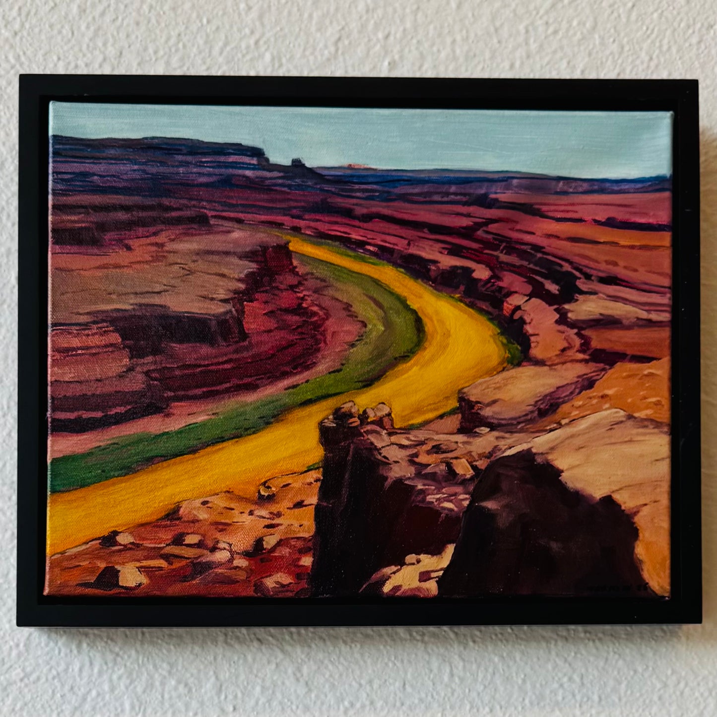 Canyonlands from Deadhorse Point