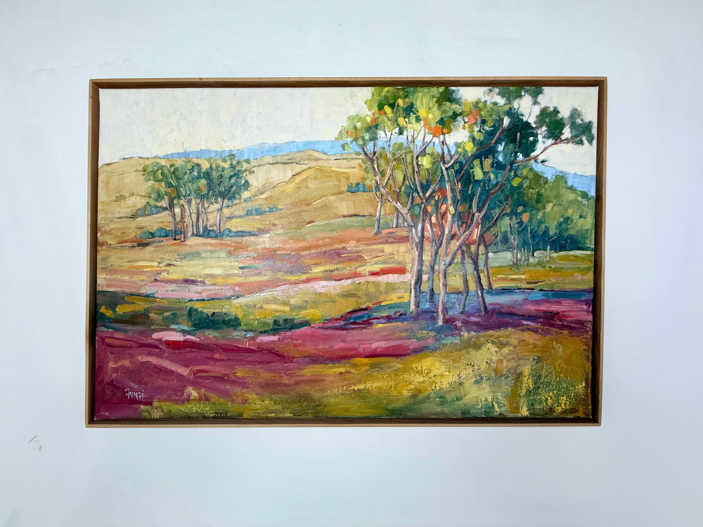 Ochree Hills II