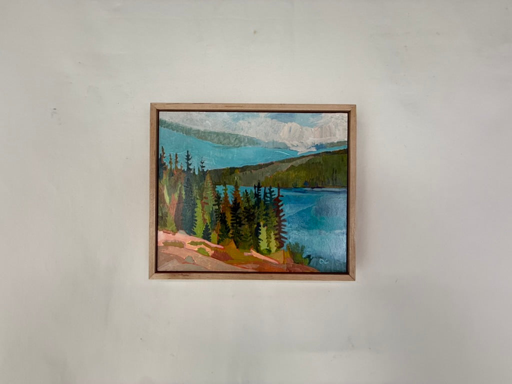 Swoop, Lake of the Woods
