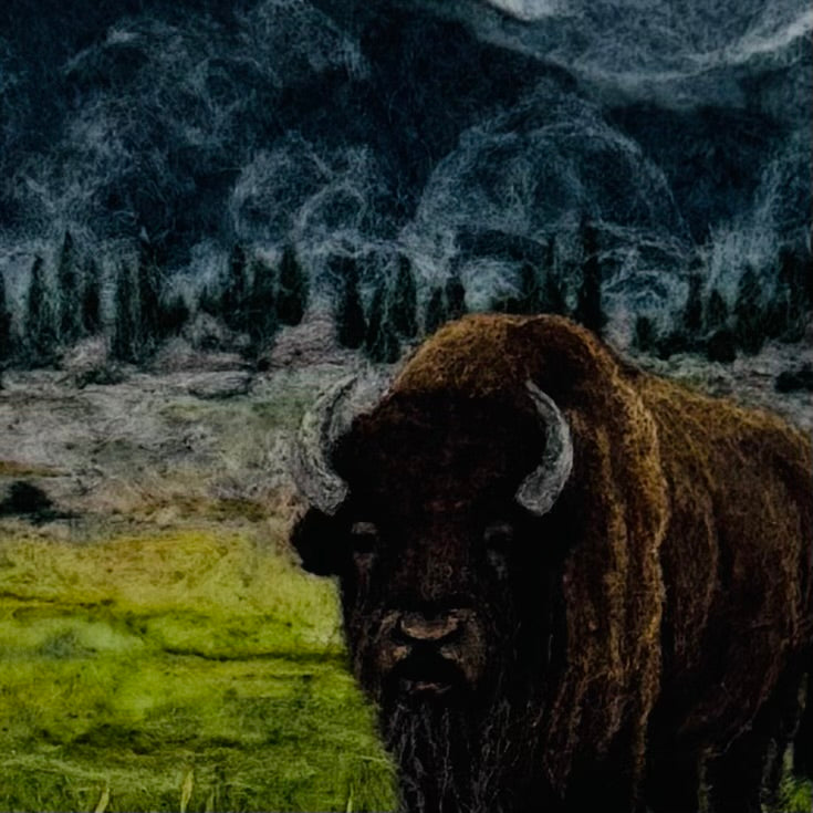 Home on the Range