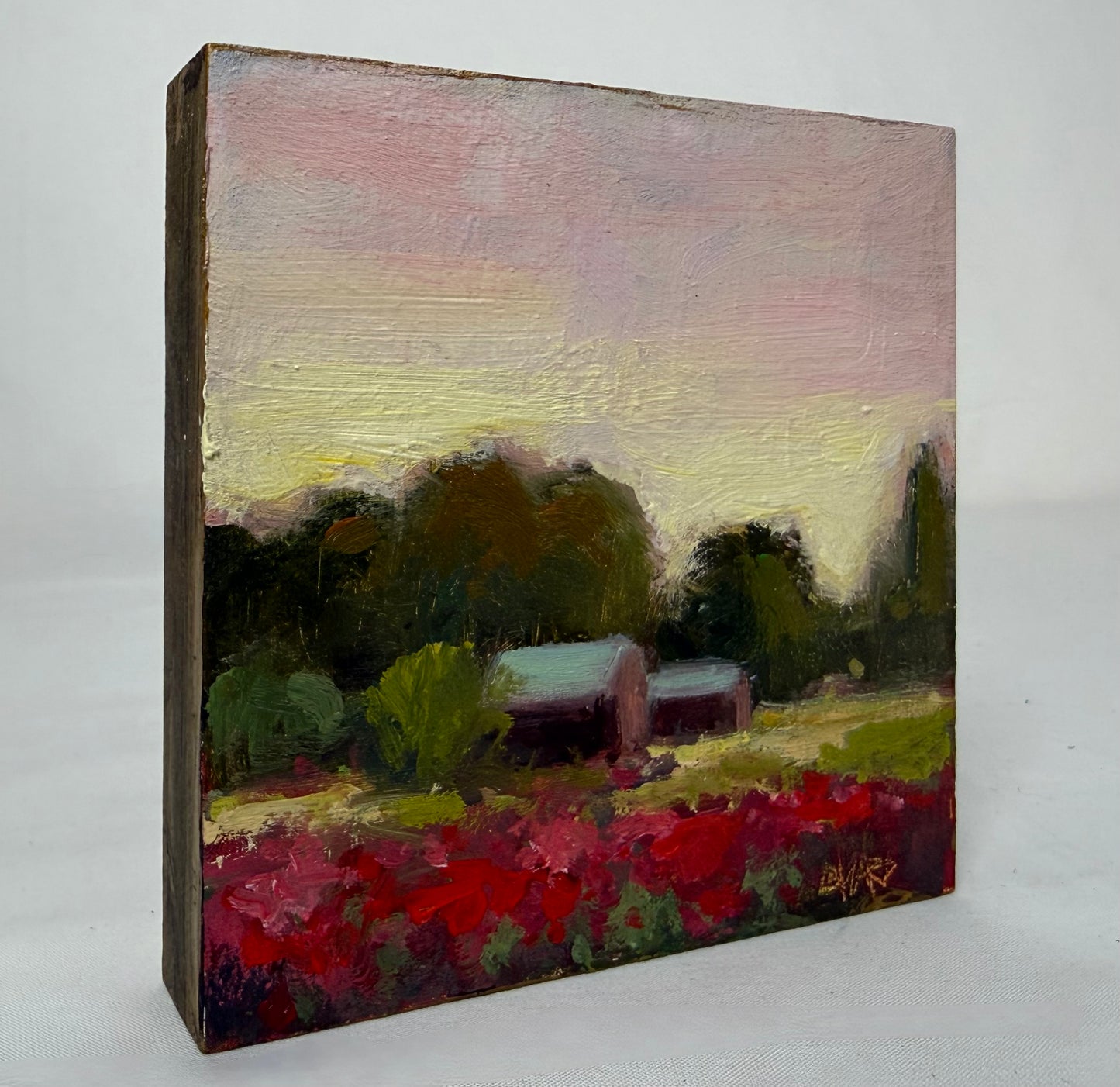 Sunset In Montaray Poppies