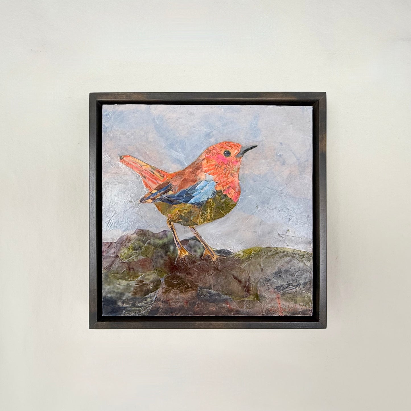European Robin