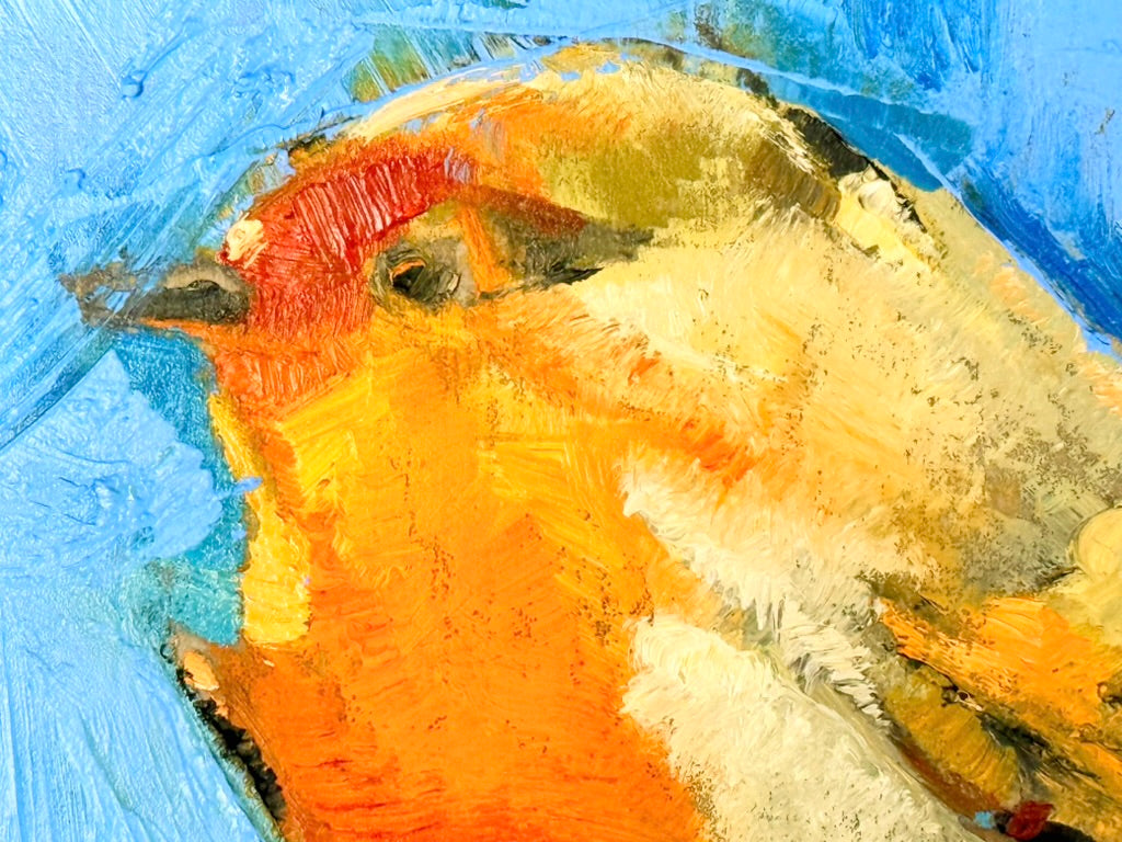 Little Bird