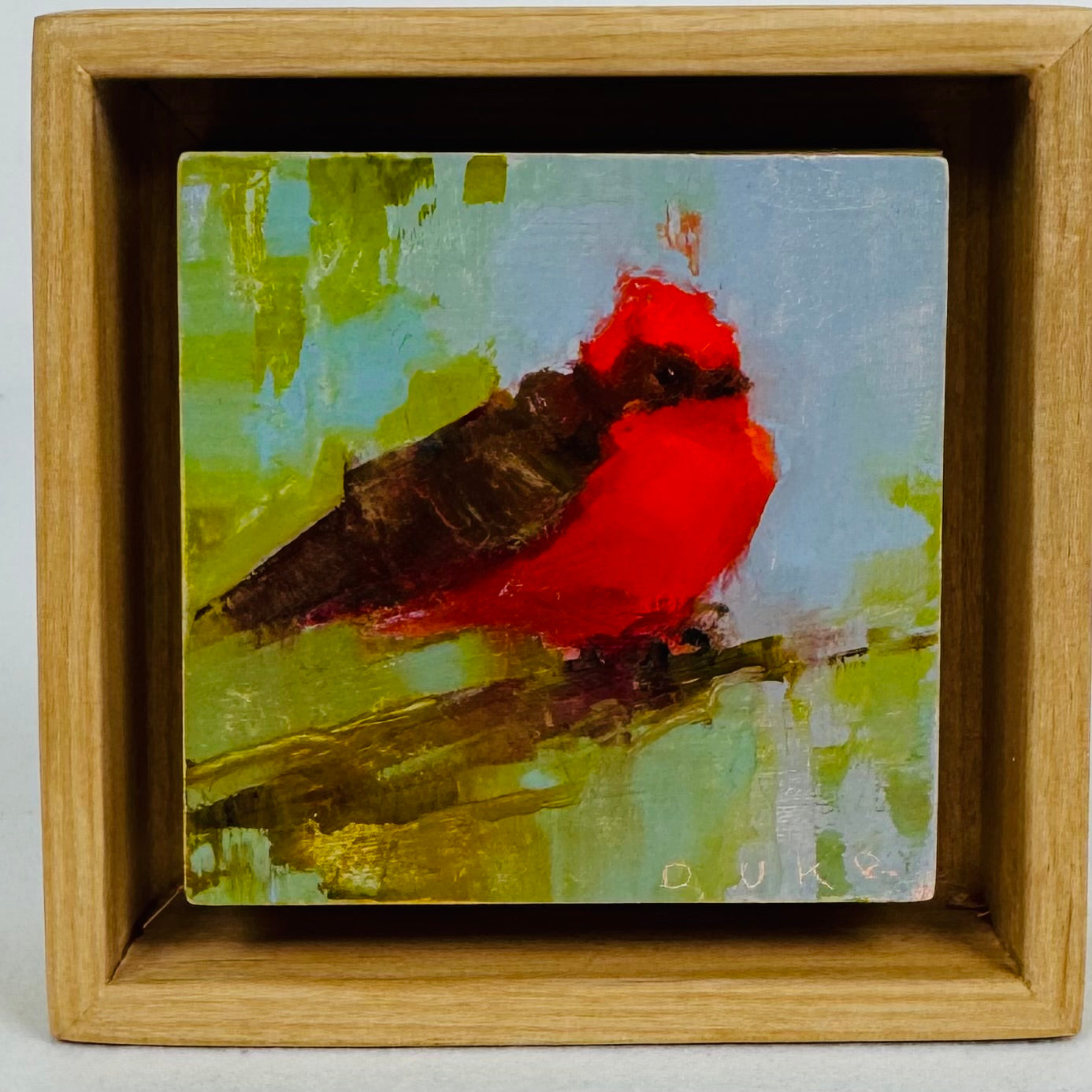 Vermillion Flycatcher