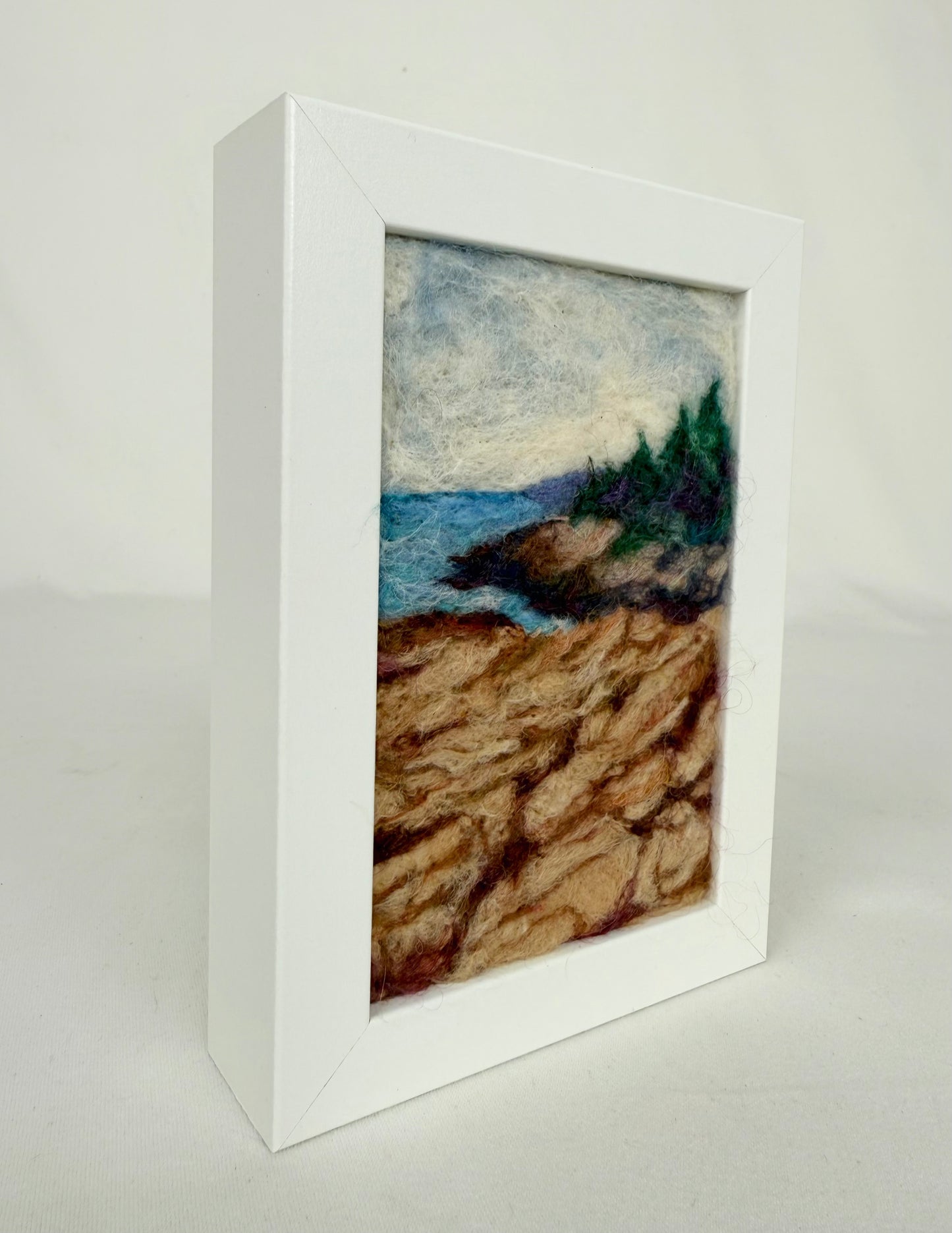 Ocean Path - Acadia Nat'l Park
