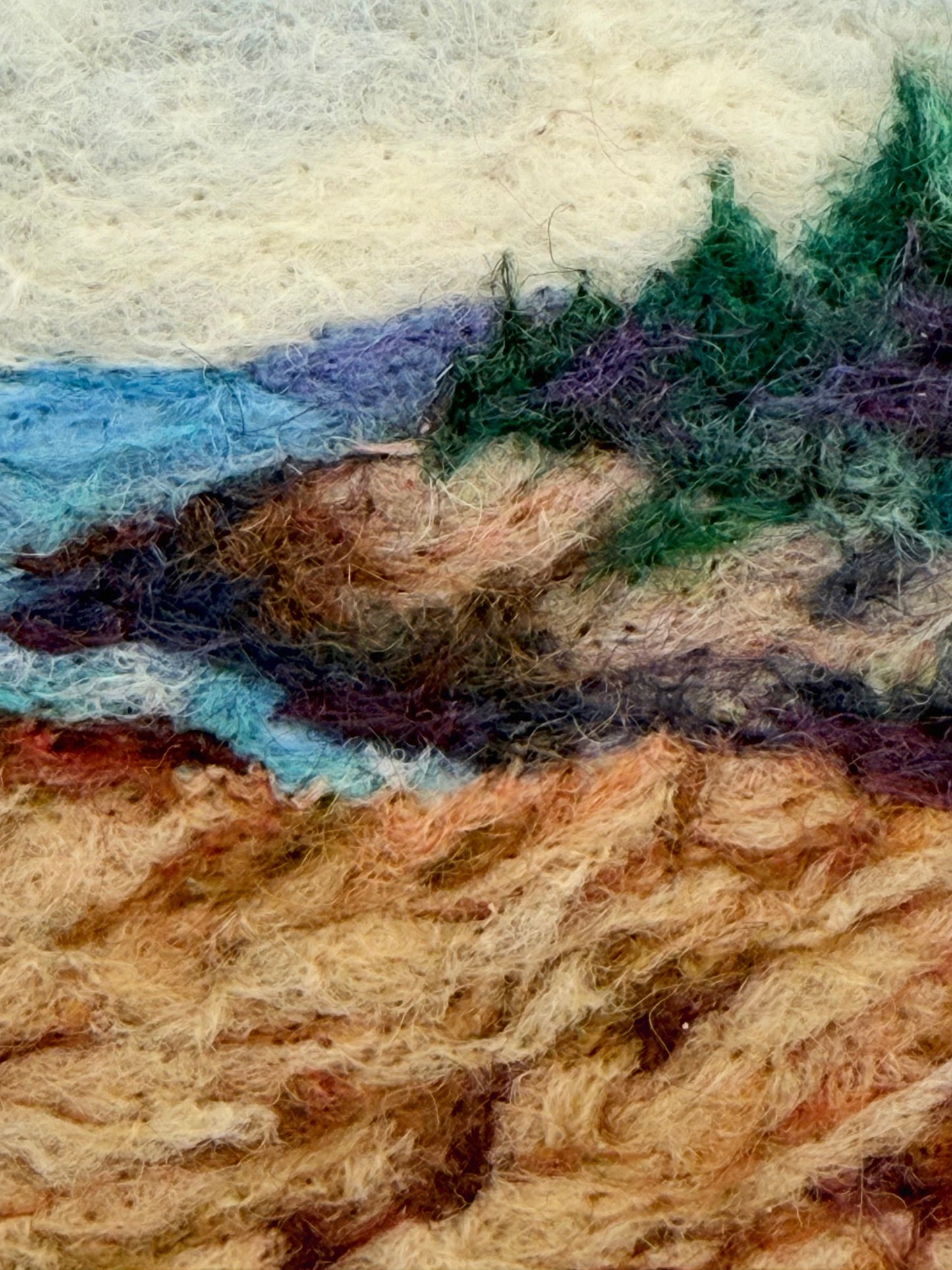 Ocean Path - Acadia Nat'l Park
