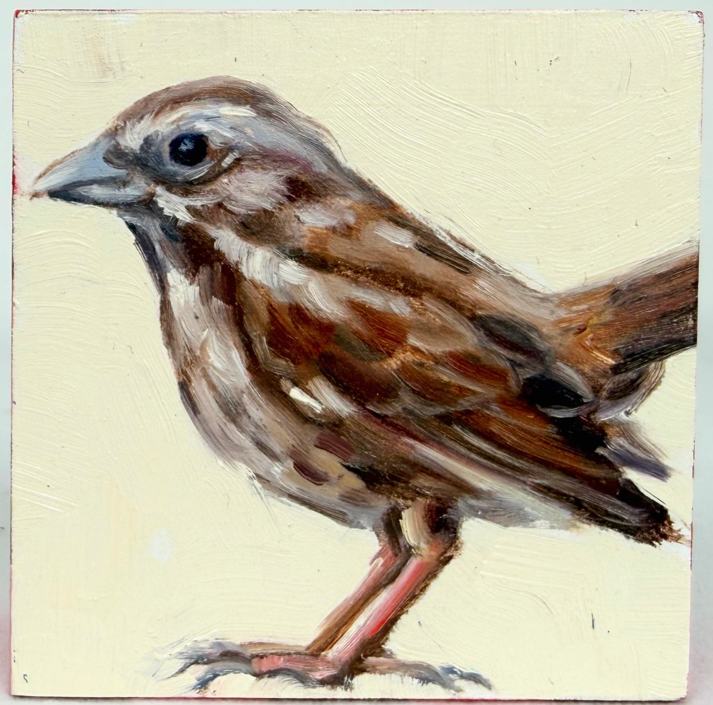 Sparrow