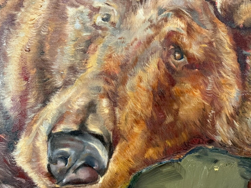 Brown Bear