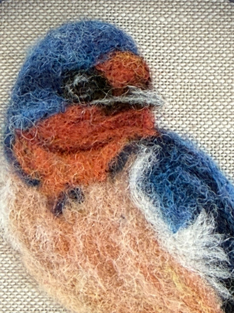 Winter Barn Swallow
