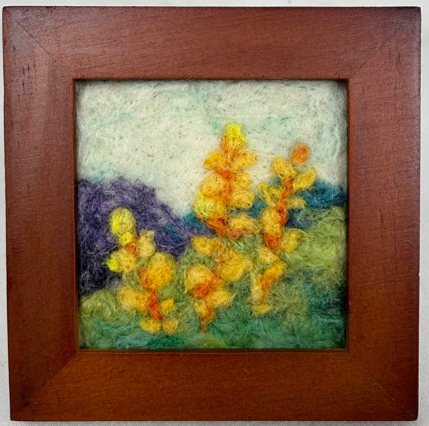 Yellow Mountain Lupines 6