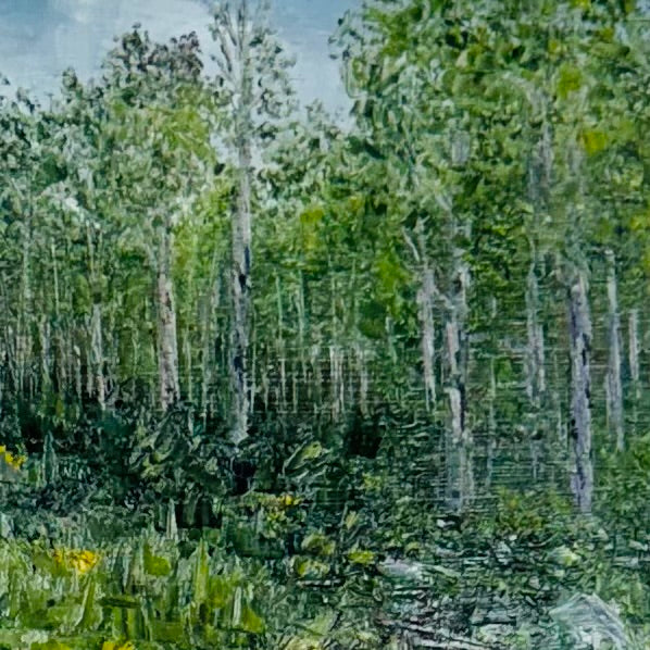 Summer Aspens
