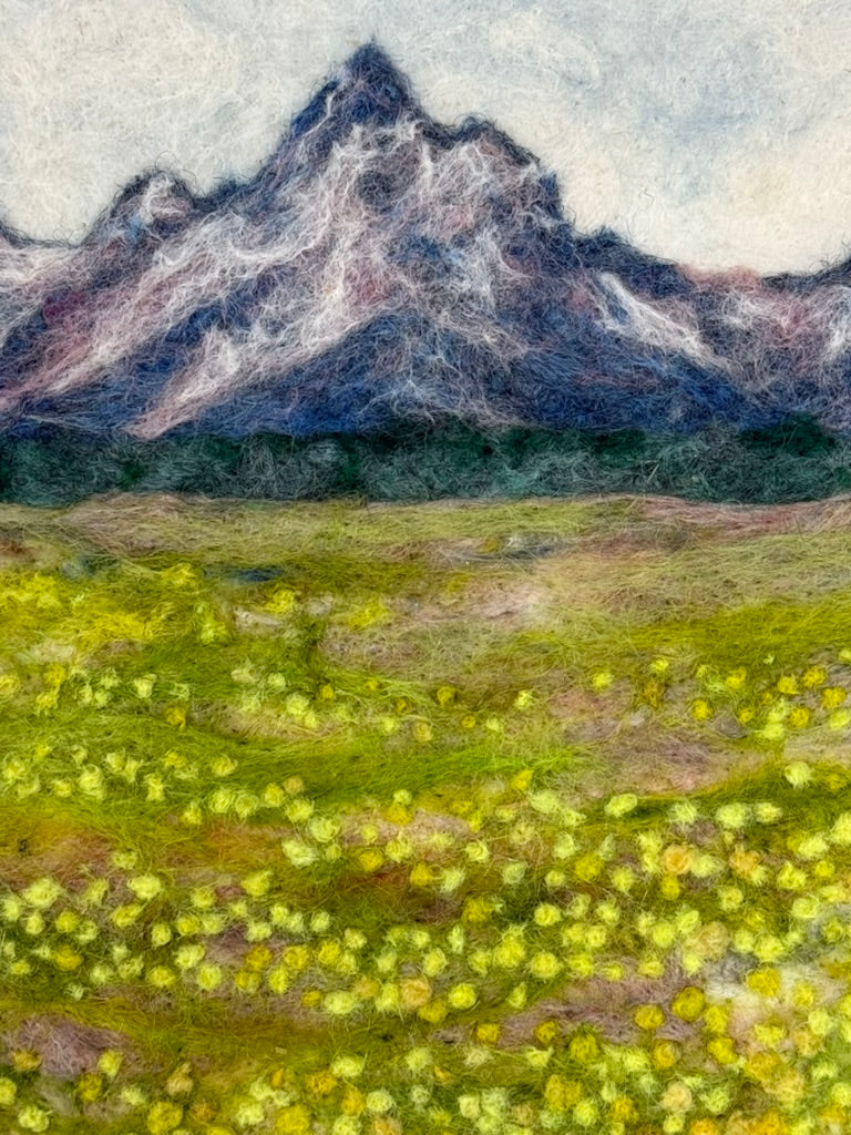 Dandelion FIelds- Grand Tetons Nat'l Park
