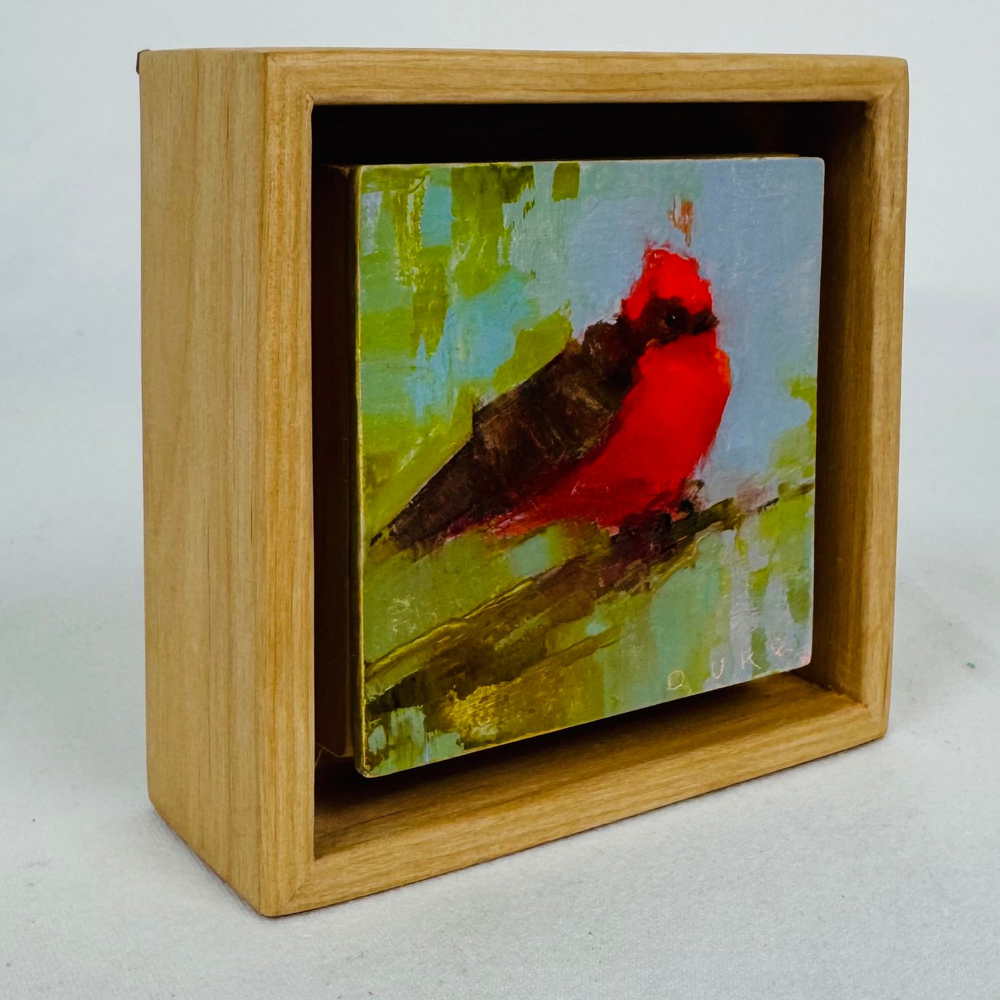 Vermillion Flycatcher