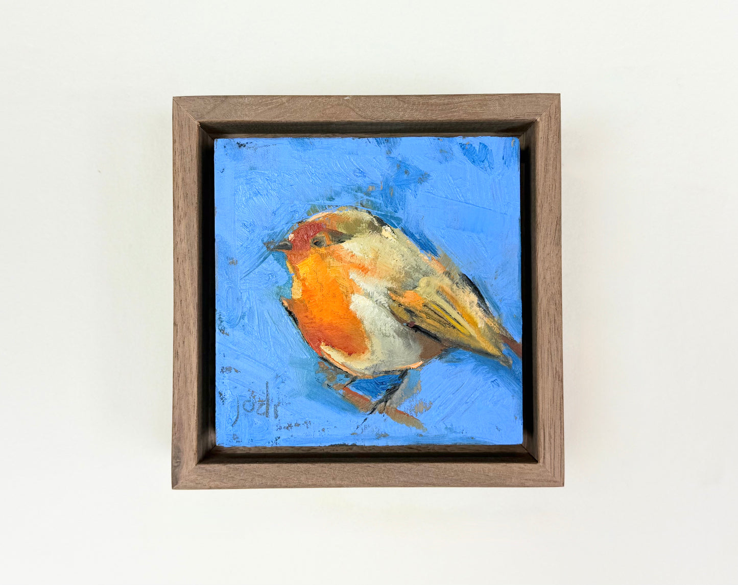 Little Bird