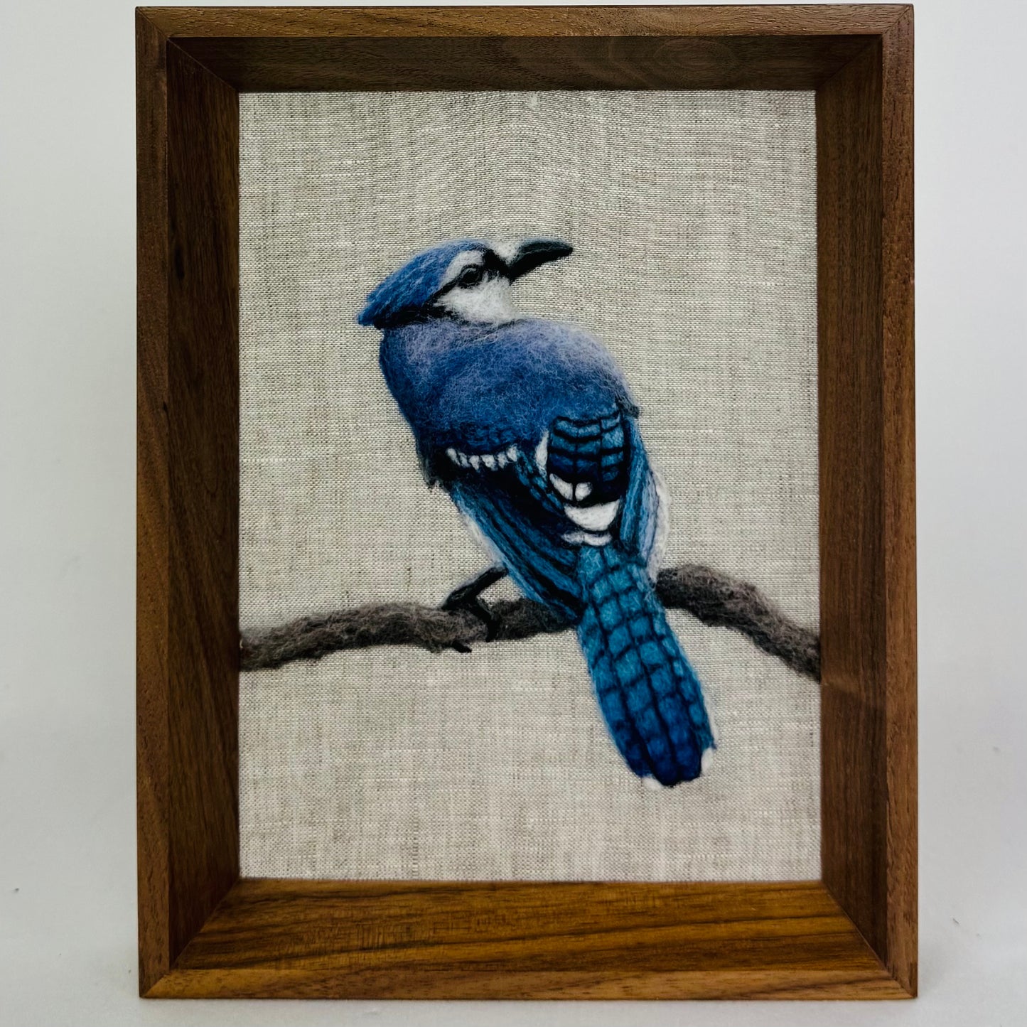 Steller's Jay II