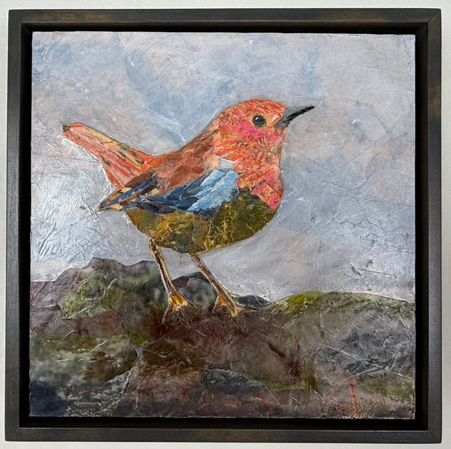 European Robin