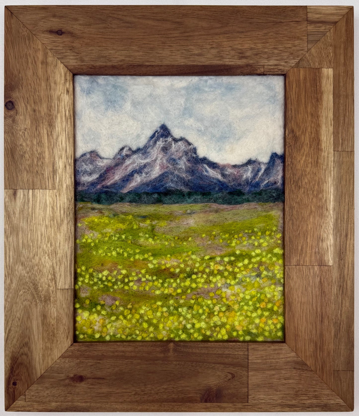 Dandelion FIelds- Grand Tetons Nat'l Park