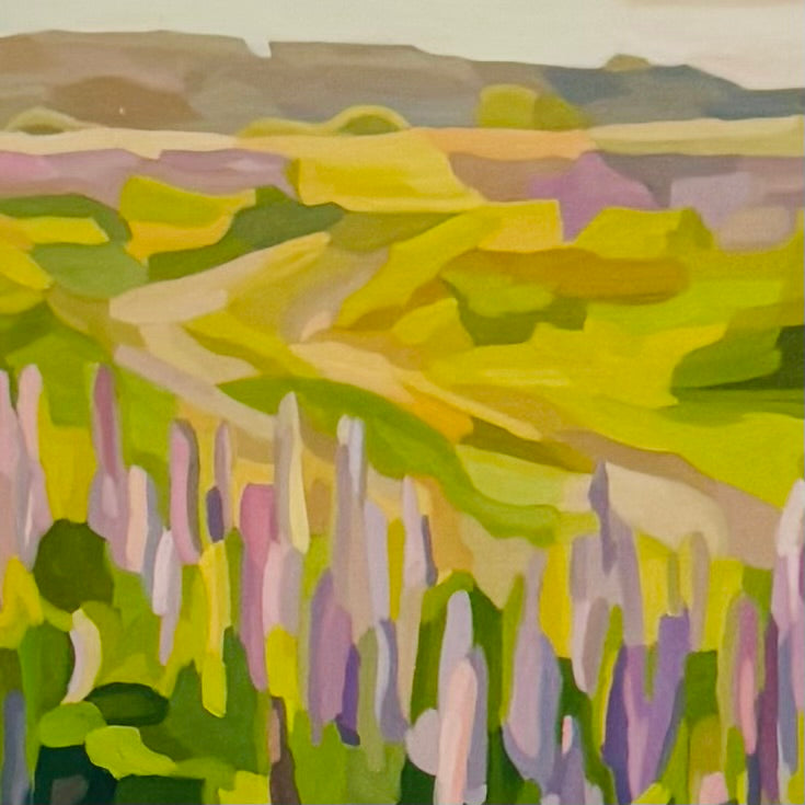 Lavender Valley