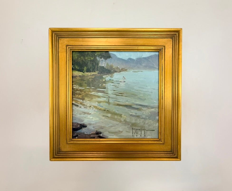 Life at Utah Lake