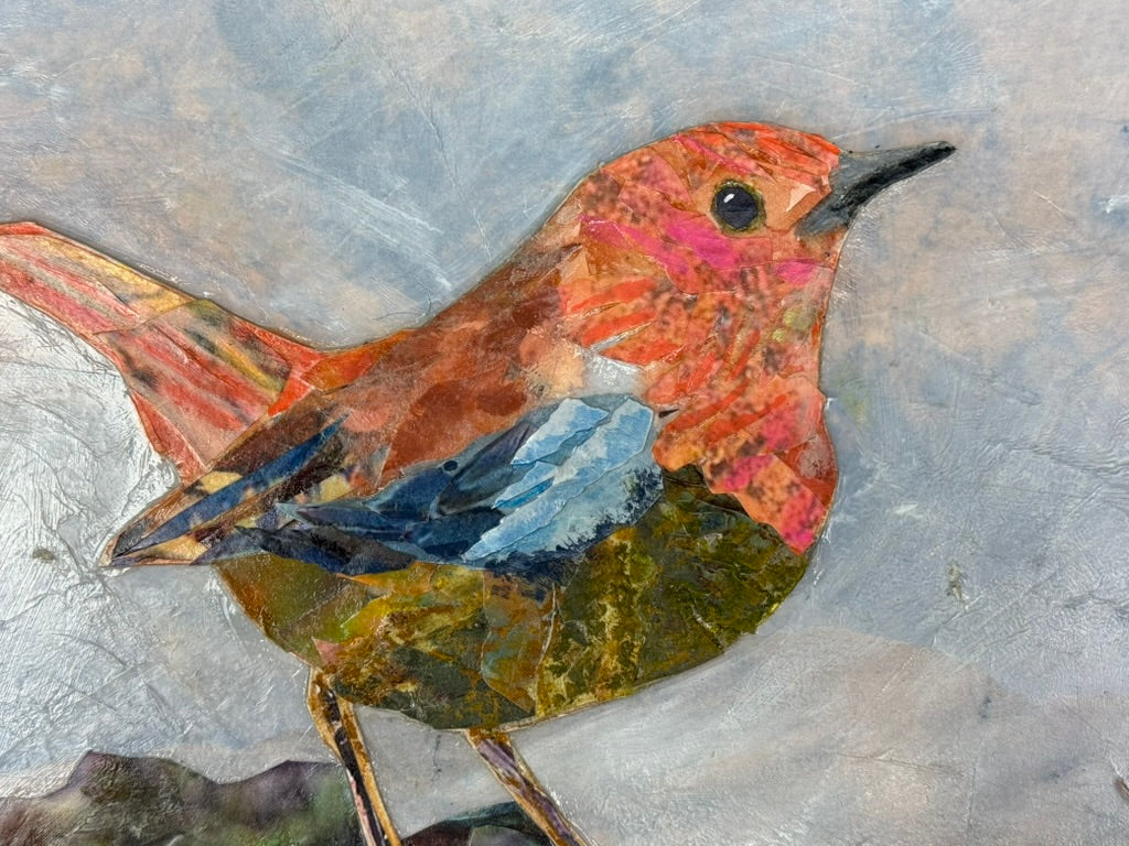 European Robin