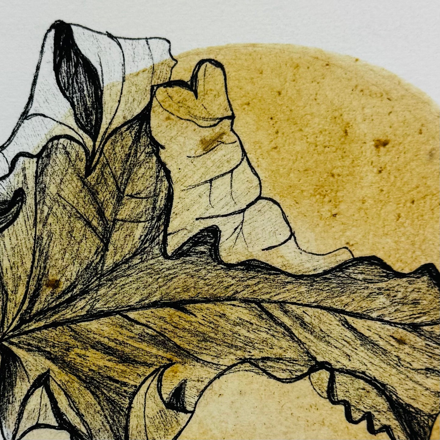 Turning Leaf