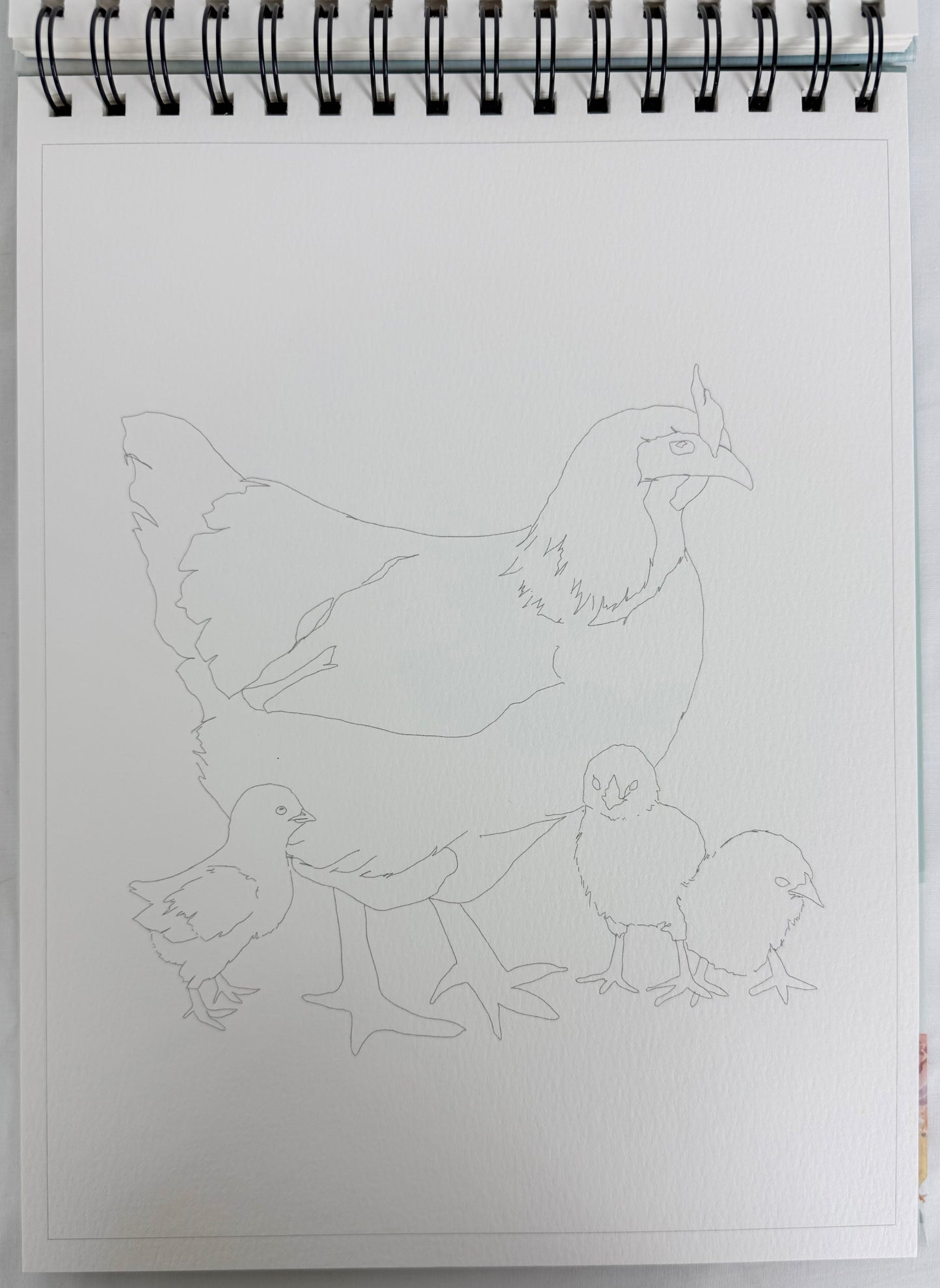 Country Life Watercoloring Book