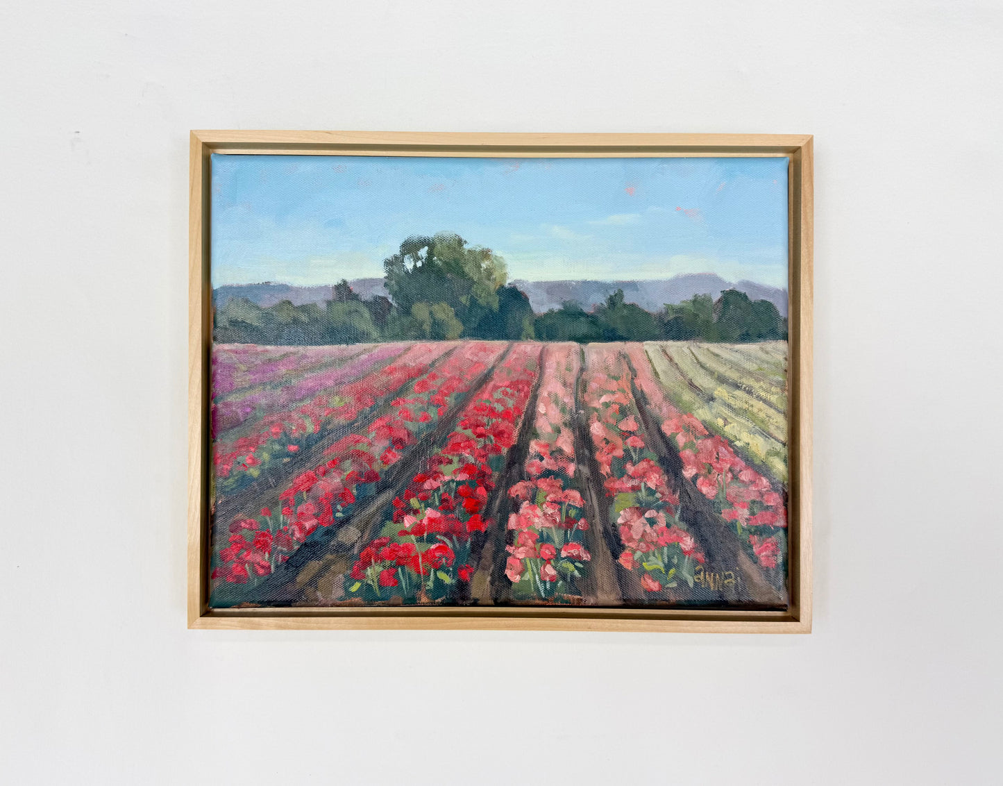 Wasco Rose Field