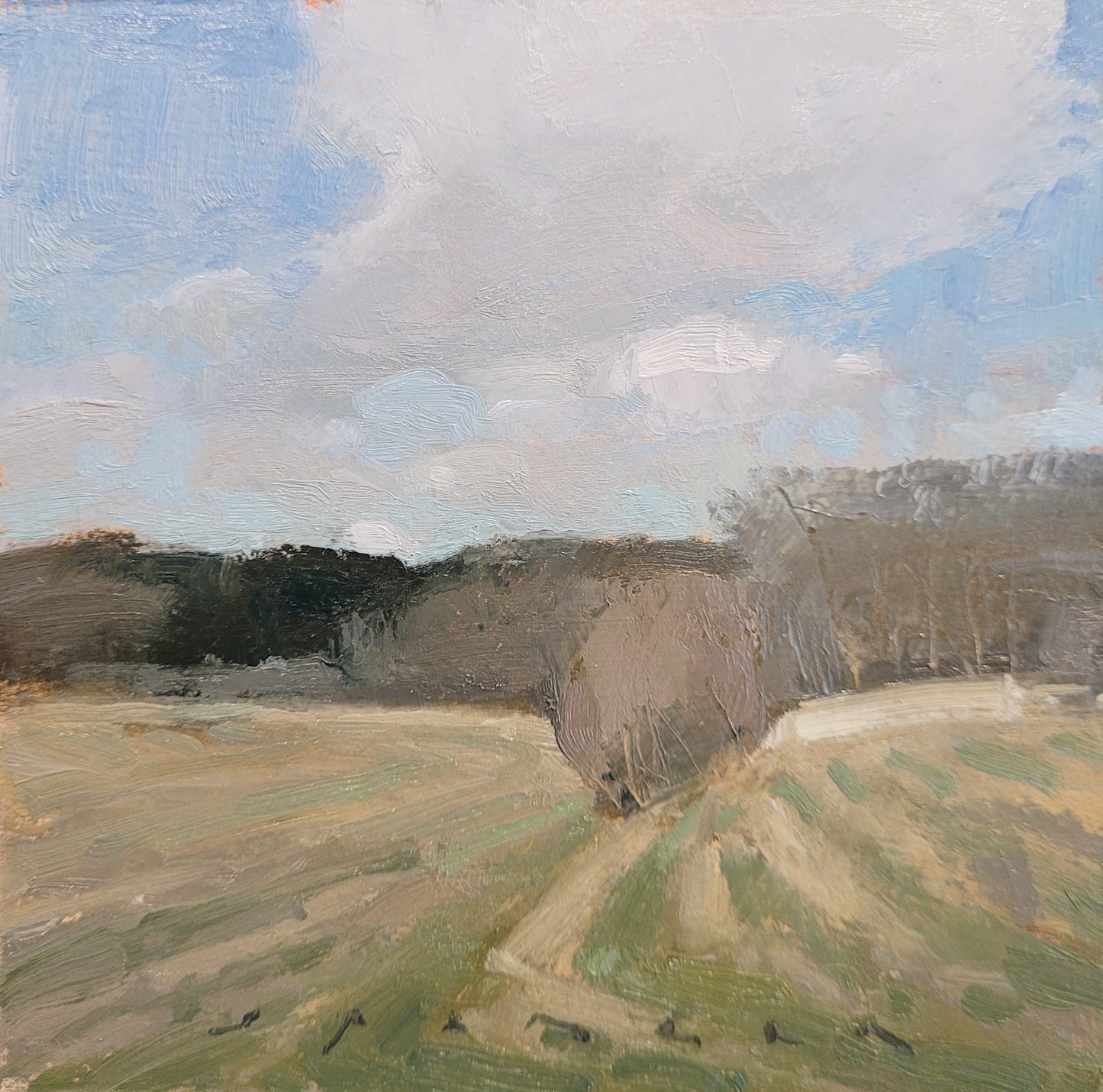 Early Spring in Rehoboth