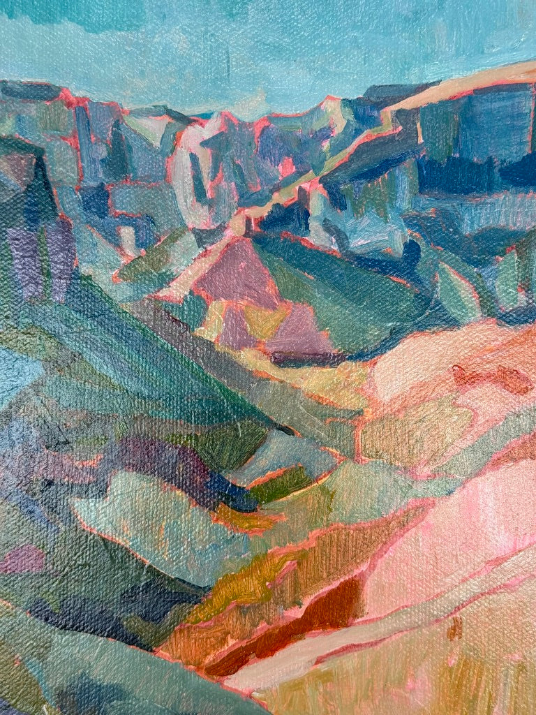 Canyon Contrast Zions