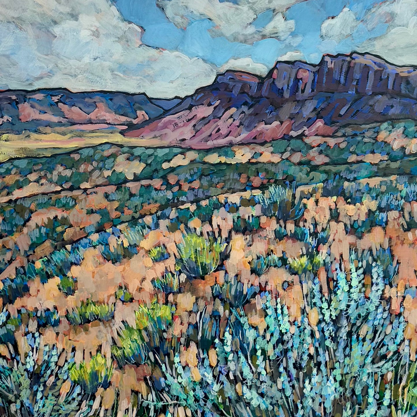 Salt Valley