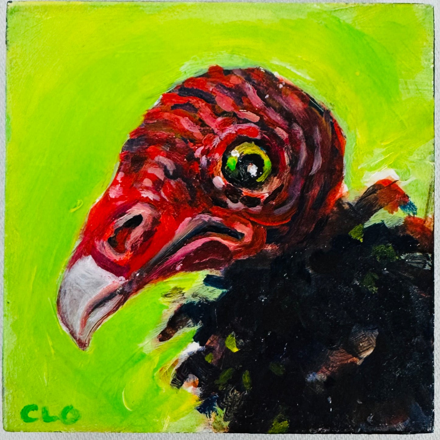 Vulture