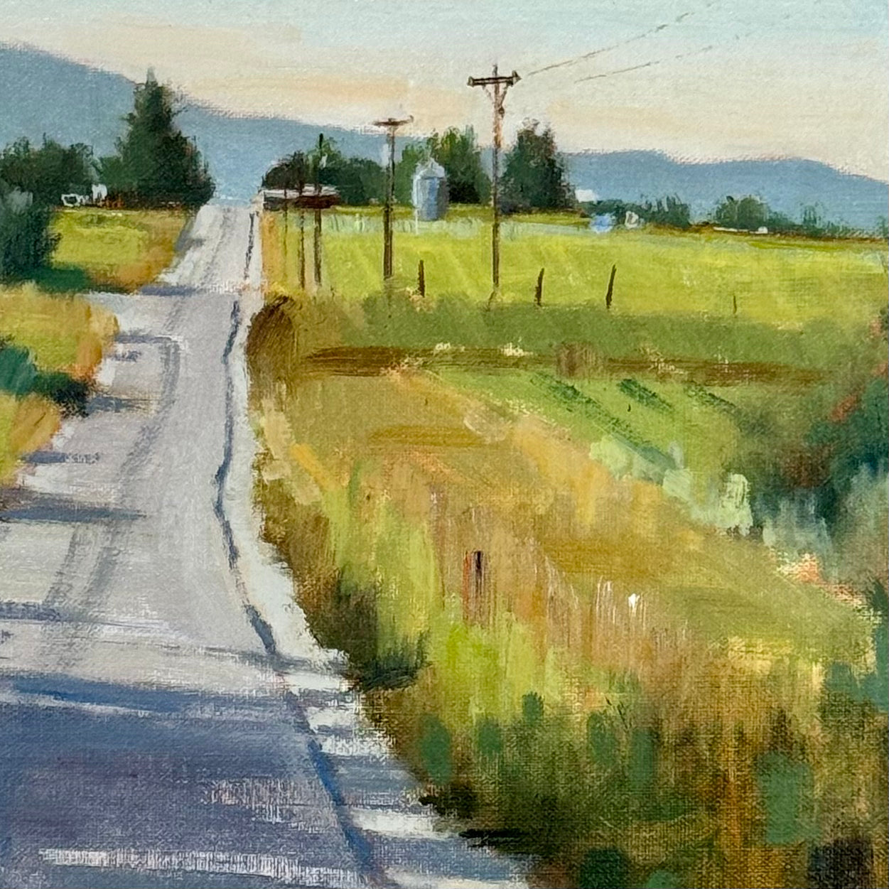 Downhill Teton Valley