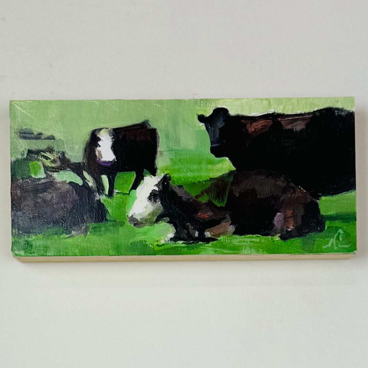 Spring Angus