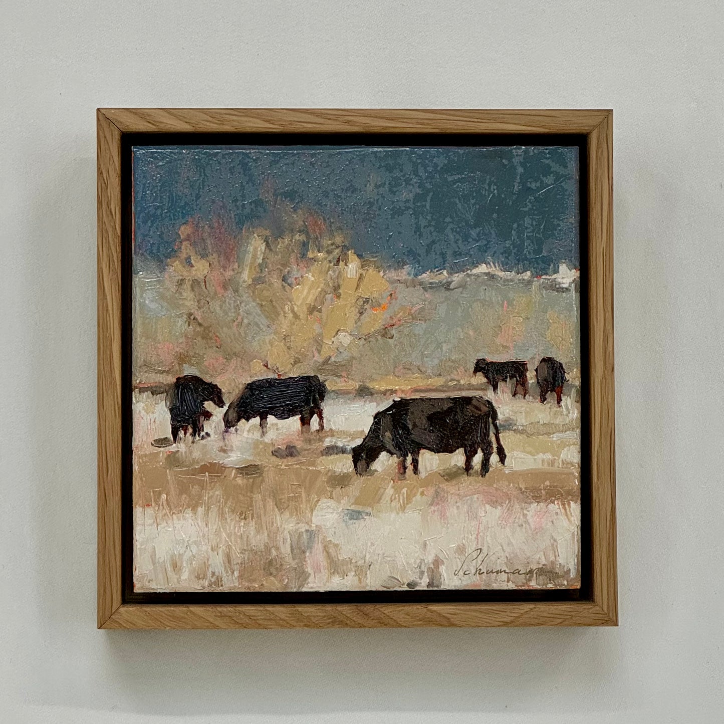 Cattle Grazing