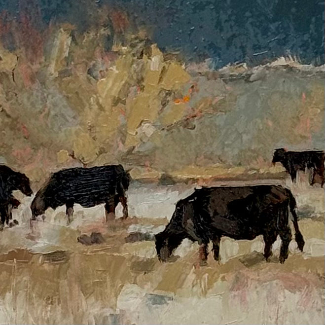 Cattle Grazing
