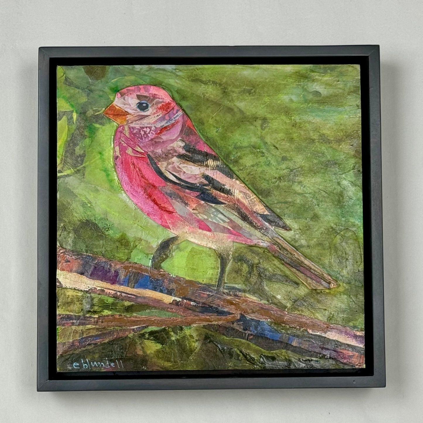 House Finch