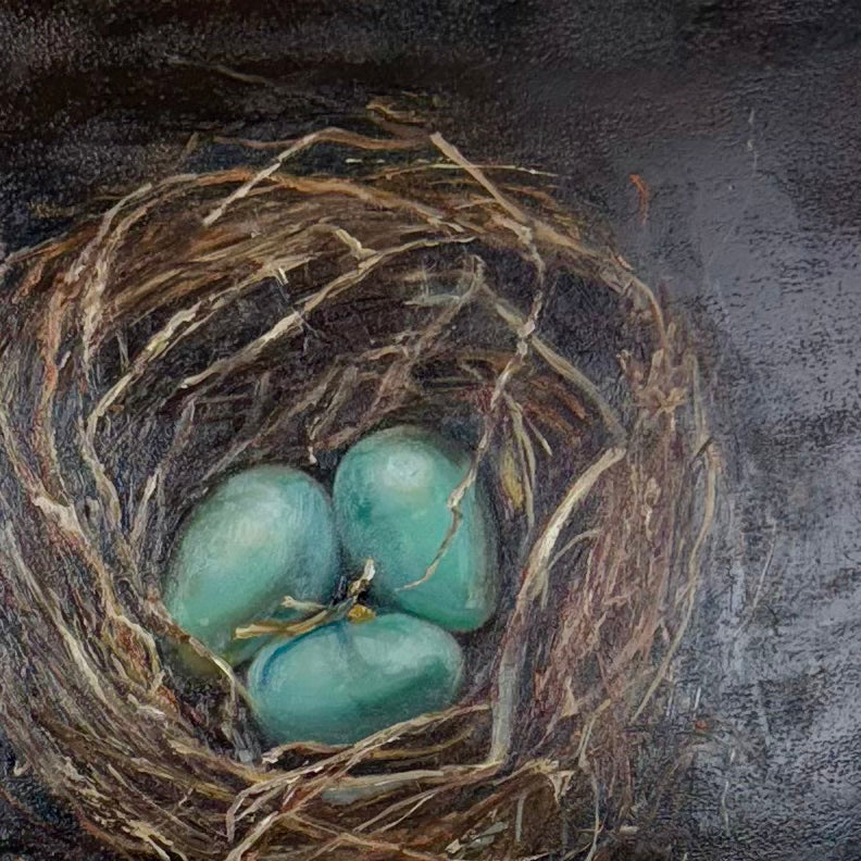 Nest 3