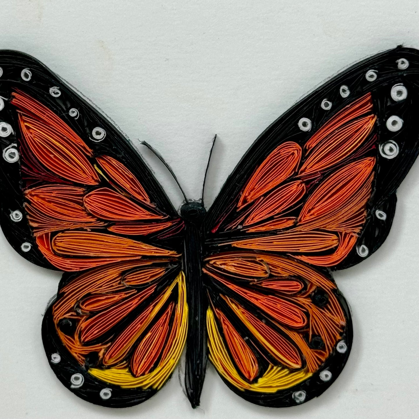 Monarch