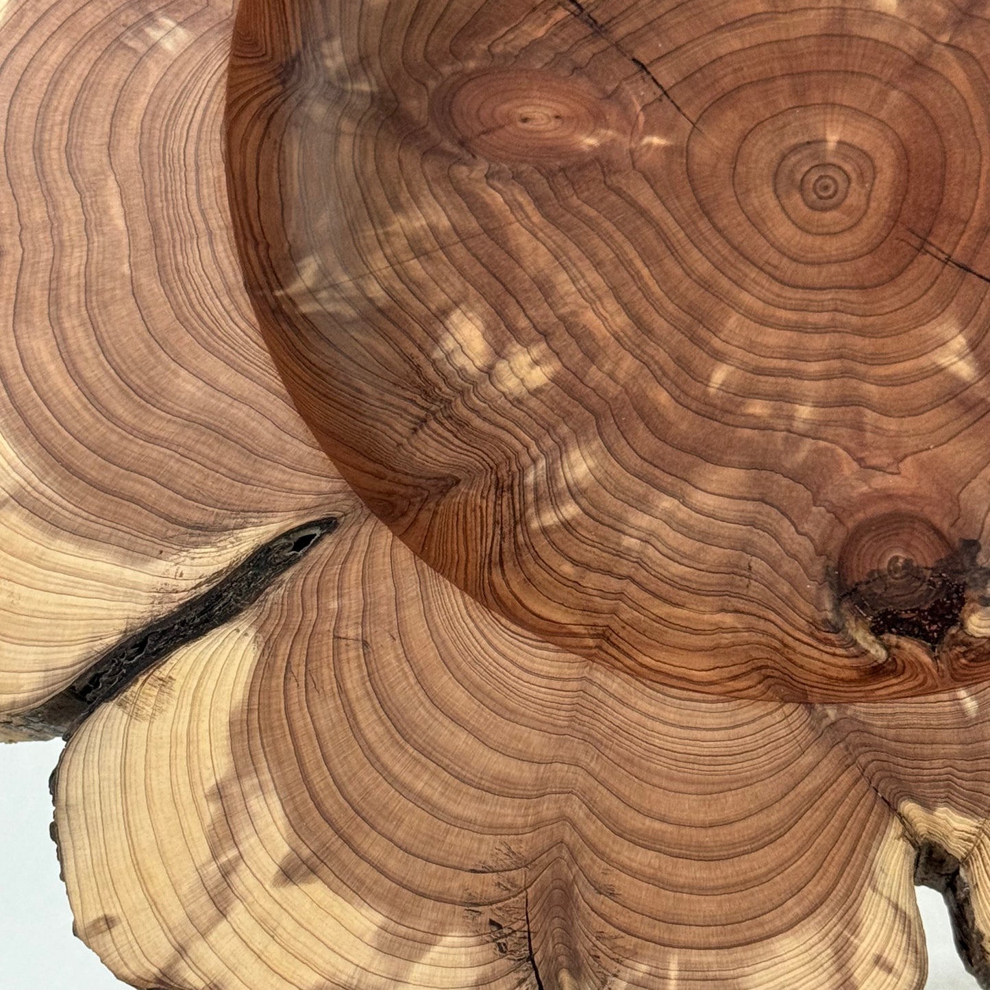 Western U.S. Cedar Live Edge Bowl