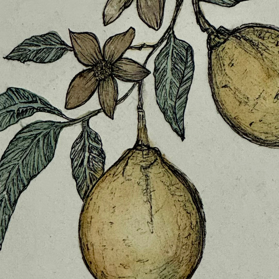 Vintage Lemon
