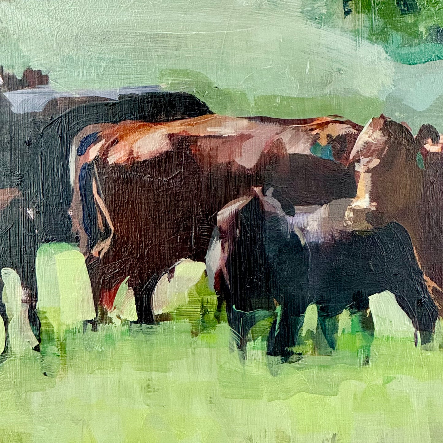 Hanna Cows