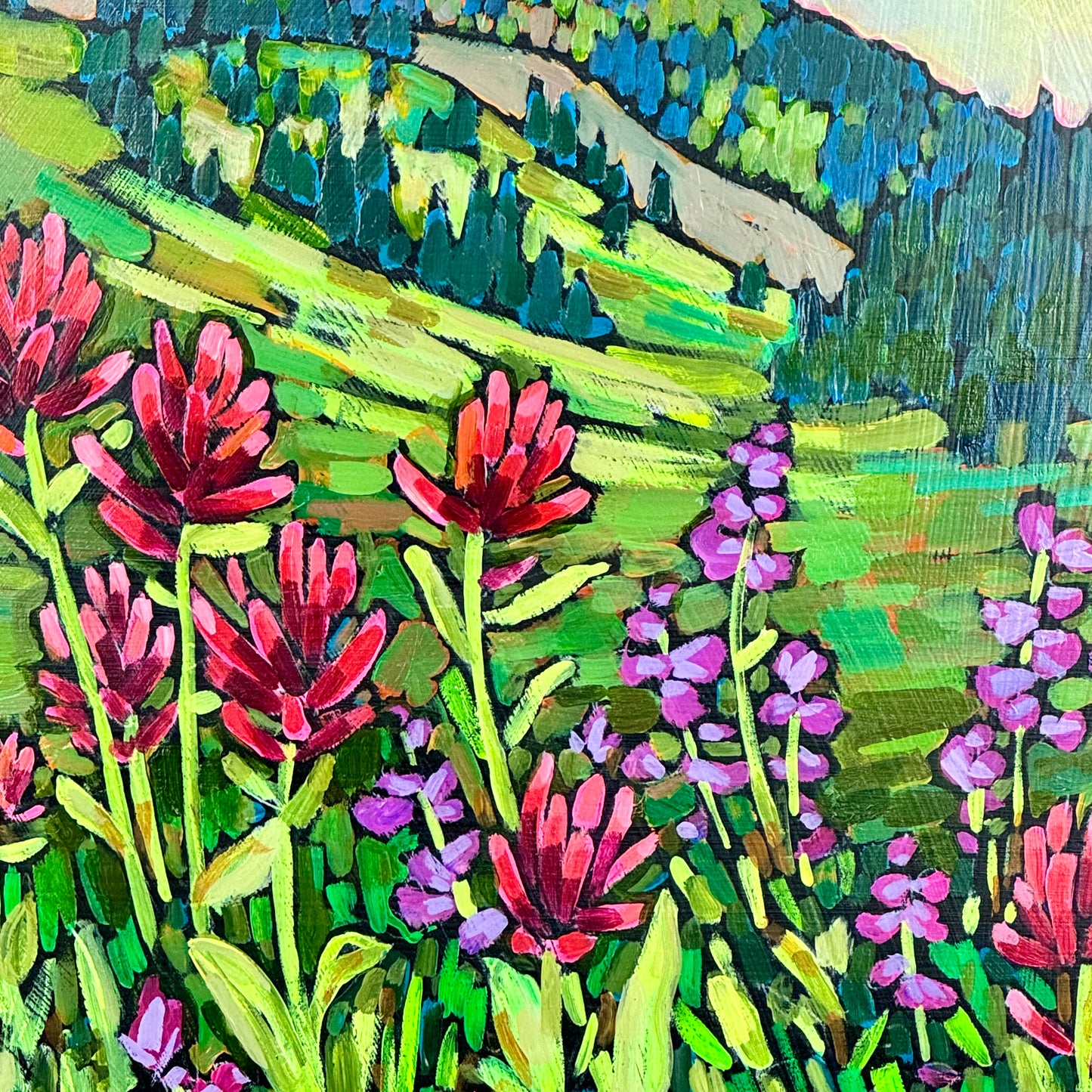 Bridger Teton Forest