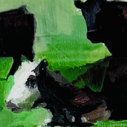 Spring Angus