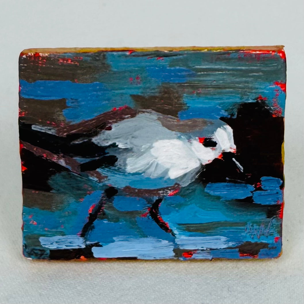 Tiny Assorted Bird Paintings