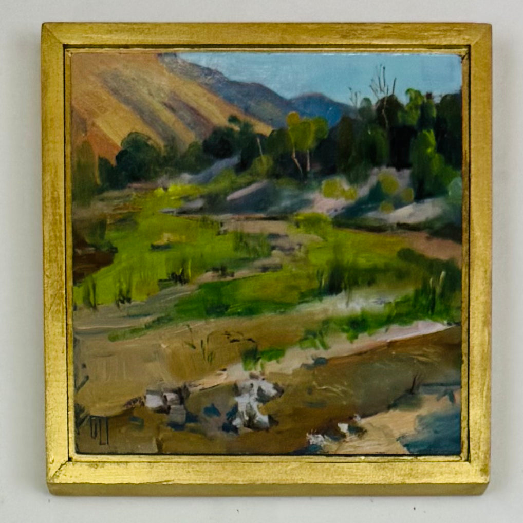 Refreshing Canyon Stream