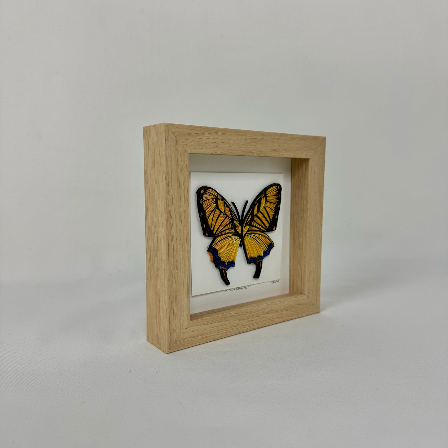 Swallowtail
