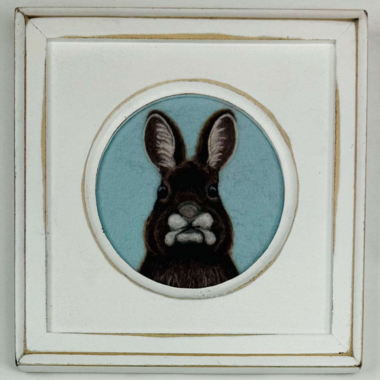 Brown Bunny