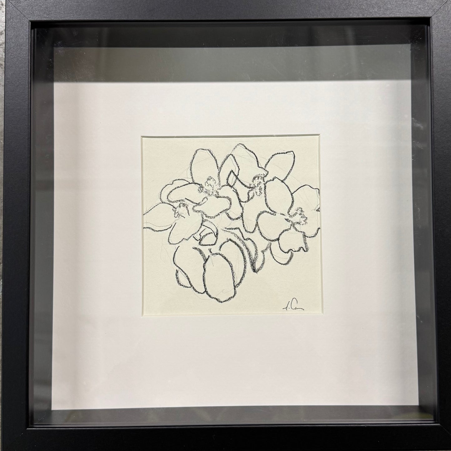Charcol Blossoms Small