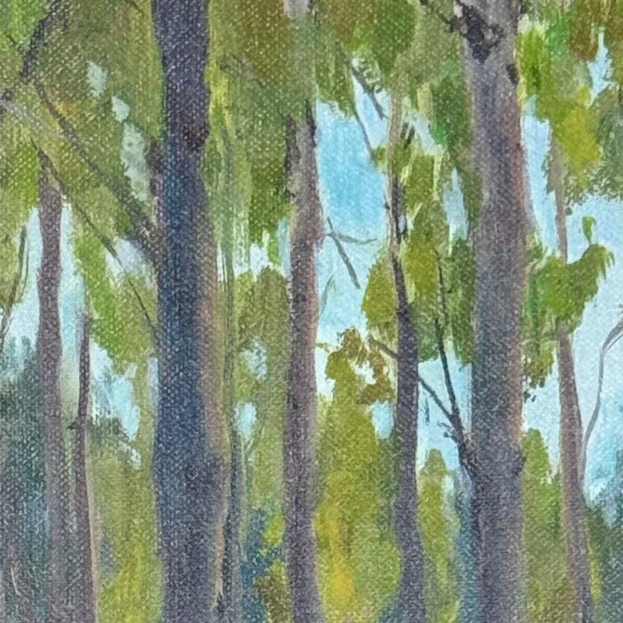 Early Summer Aspens