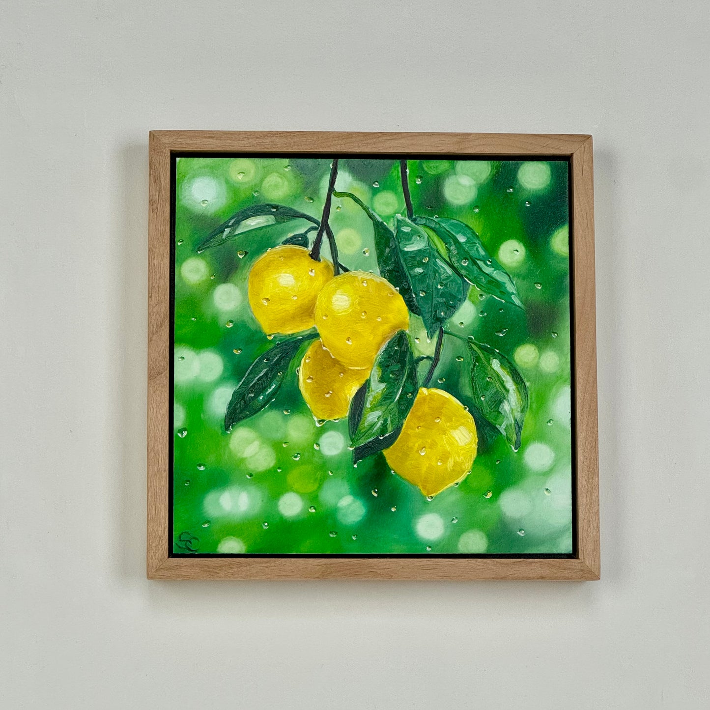 Lemon Tree In the Rain